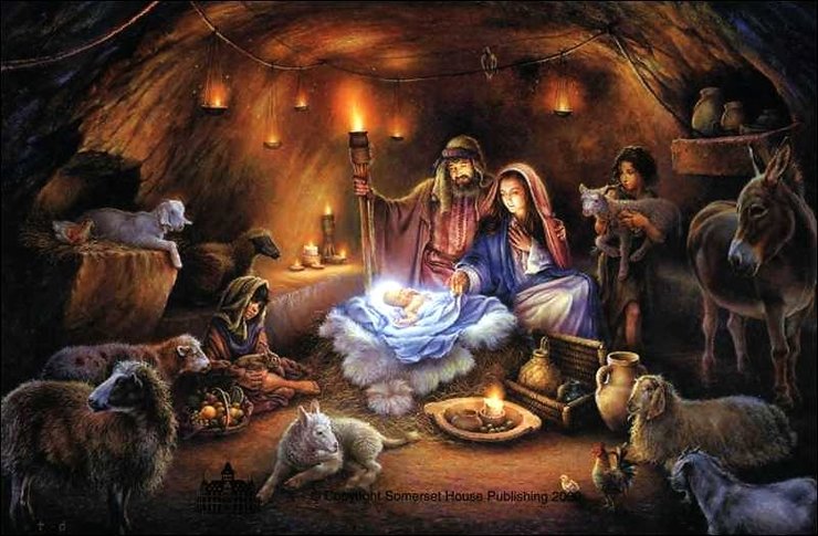 GOA NATAL