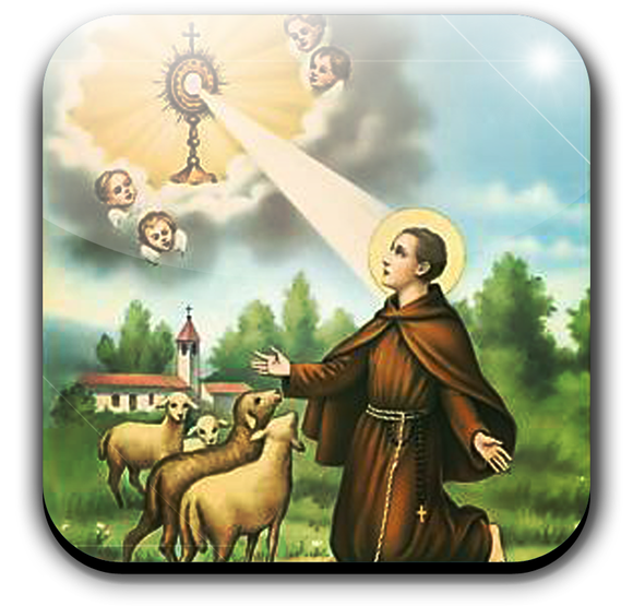ST. PASKALIS BAYLON
